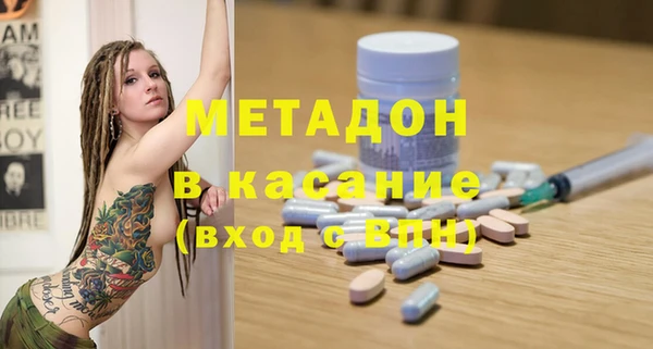 прущие грибы Михайлов