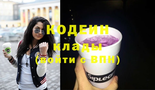 прущие грибы Михайлов