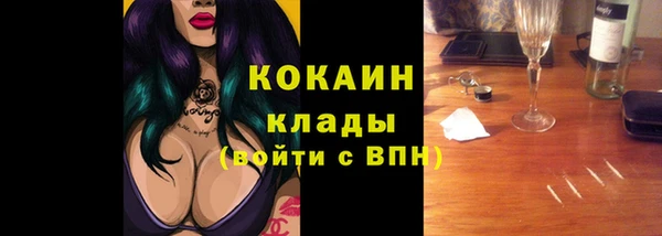 прущие грибы Михайлов
