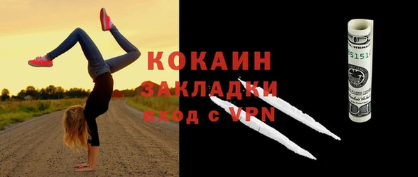 дмт Переславль-Залесский