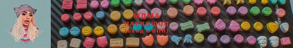 прущие грибы Михайлов