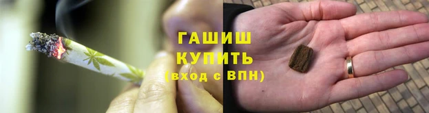 прущие грибы Михайлов