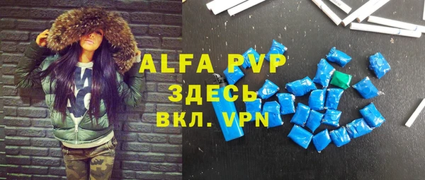 прущие грибы Михайлов