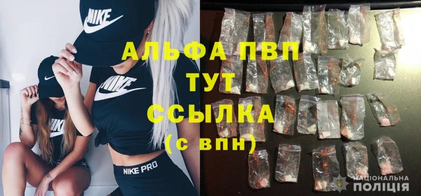 твердый Пересвет