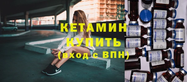 прущие грибы Михайлов