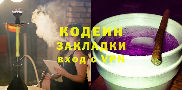 прущие грибы Михайлов