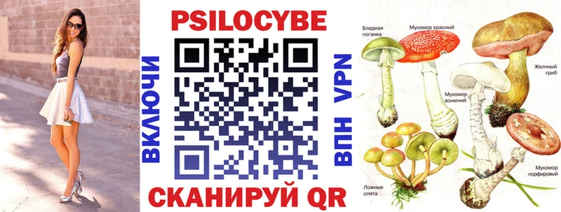 Галлюциногенные грибы Cubensis  Шенкурск 