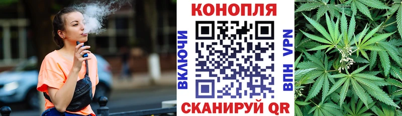 Бошки марихуана конопля  Шенкурск 